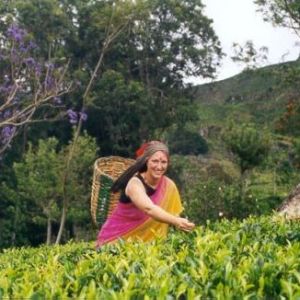 Tochter Tanja auf einer Teeplantage